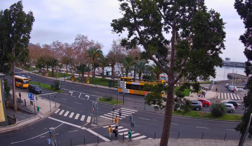 Fußgängerüberweg in der Avenida do Mar - Funchal - Portugal