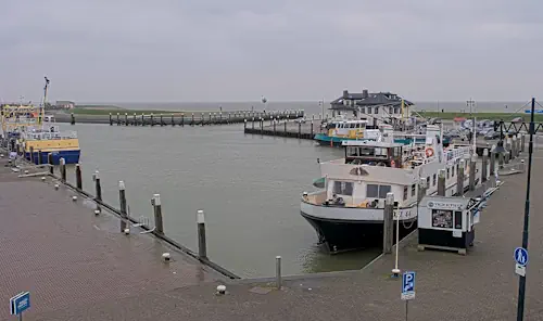 Hafen Haven Oudeschild